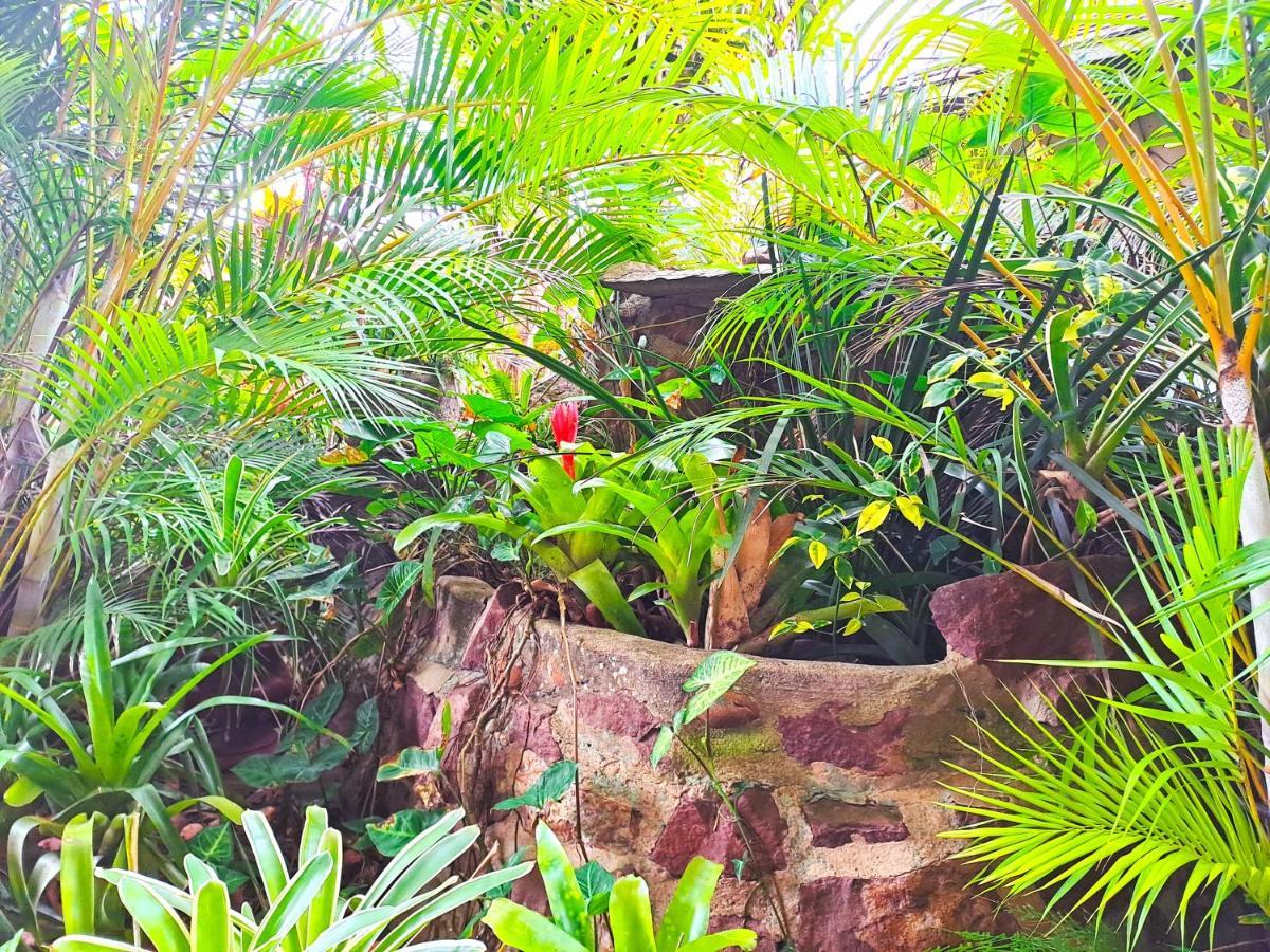 Old Mill Guest House Durban Eksteriør bilde